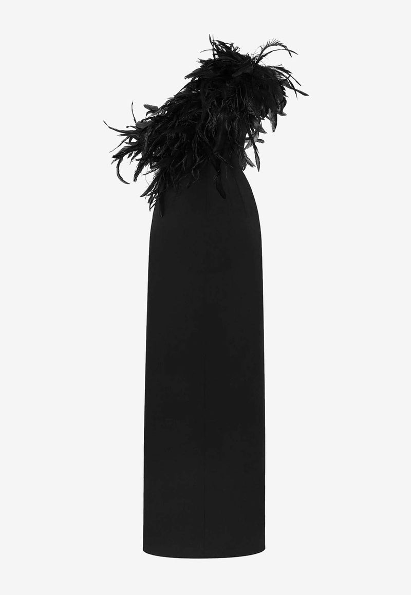 One-Shoulder Feathered Gown