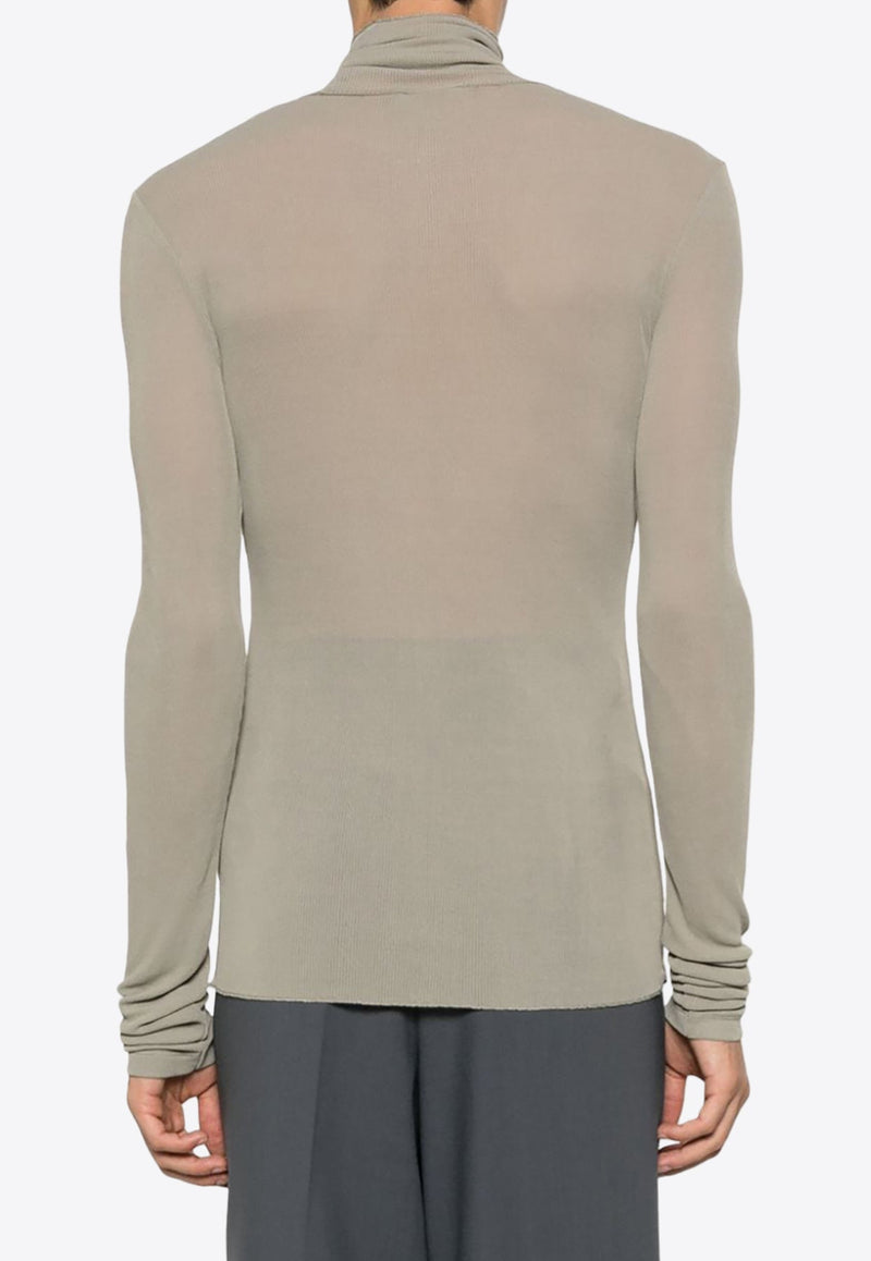 Semi Sheer Turtleneck Sweater