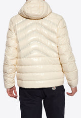 Chiwen Quilted Down Jacket