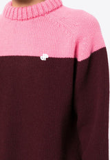 Two-Tone Knitted Wool Sweater