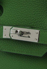 Birkin 25 in Vert Yucca Togo Leather with Palladium Hardware
