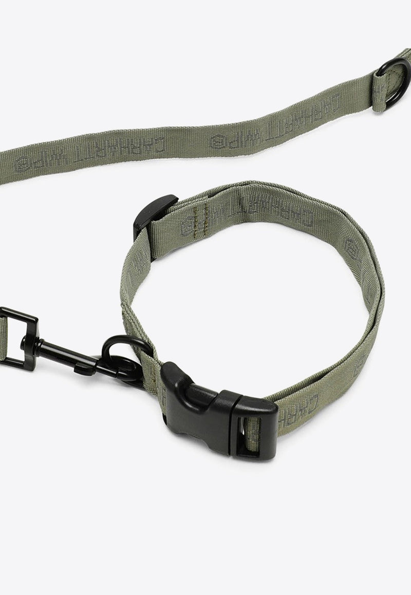 Tour Dog Leash with Collar