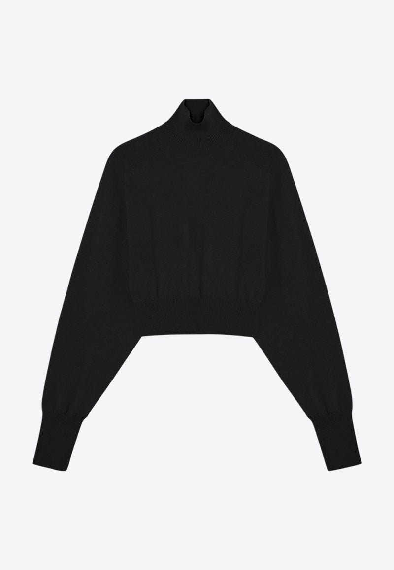 Ululato Turtleneck Cropped Wool Sweater