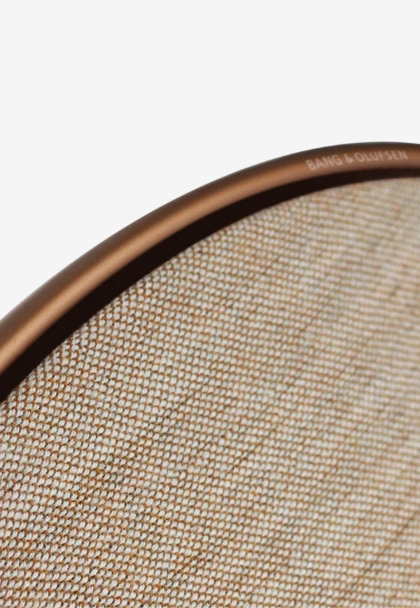 Beoplay A9 4th Generation Powerful Speaker