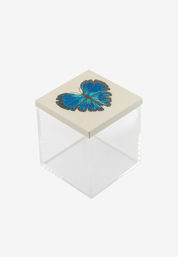 Butterfly Acrylic Box